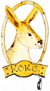 Кенгуру