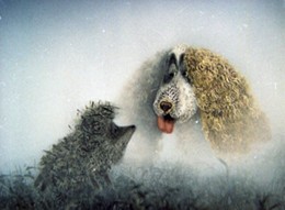 Кадр из мультфильма «Ёжик в тумане»