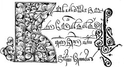 Скорописная азбука [1643]