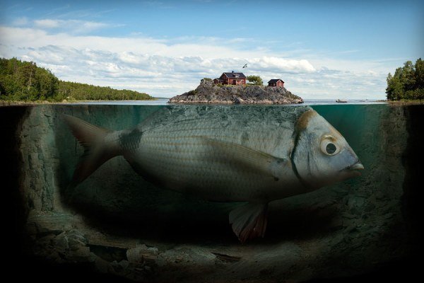 Человек Рыба Фото